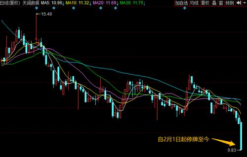 天润数娱重组最新进展，迈向数字化娱乐领域的新征程