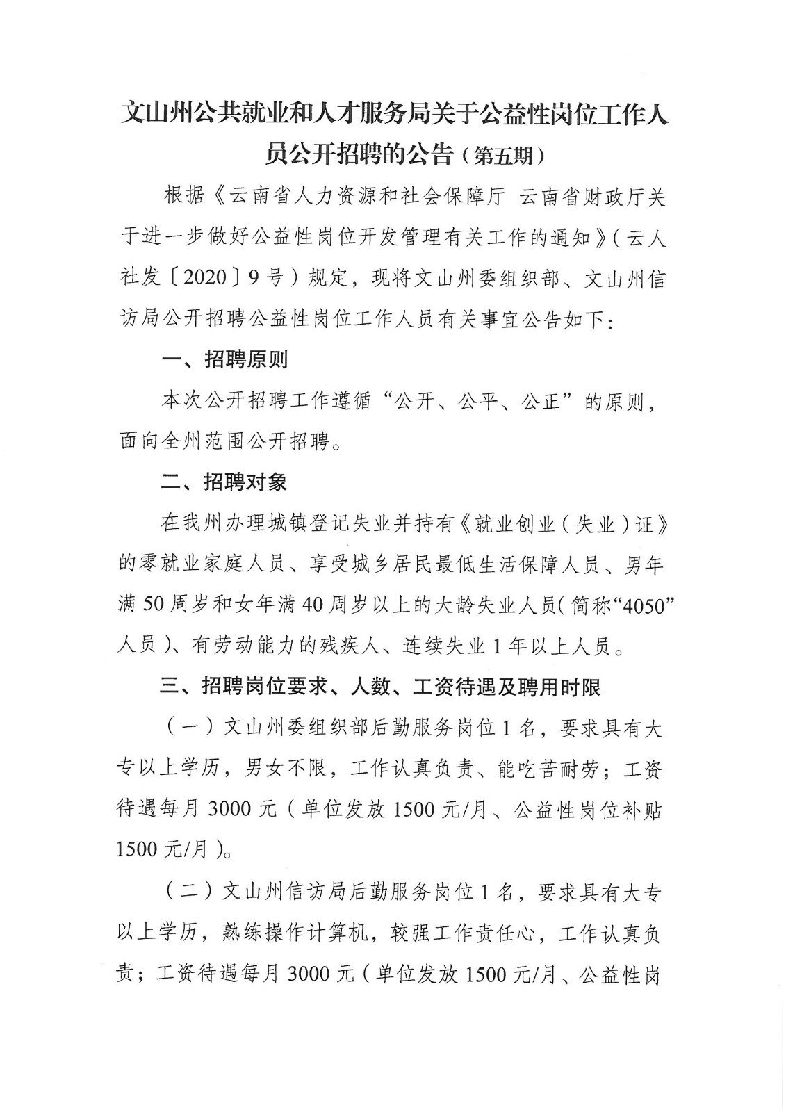 文秘招聘网最新招聘动态及其影响