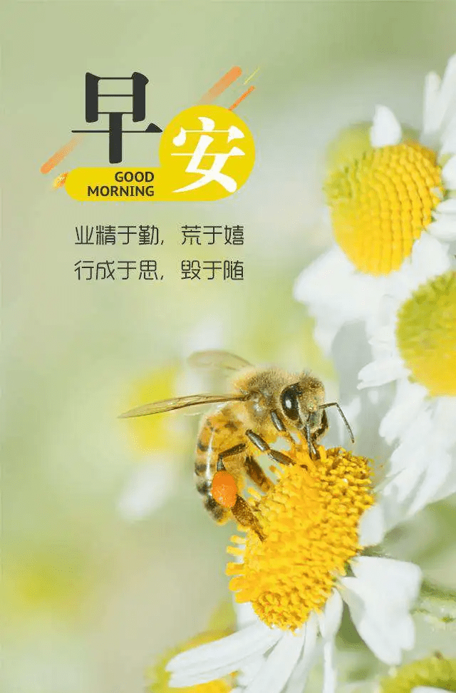 早晨的空气是最新鲜的