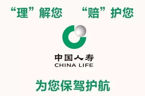 中国人寿e宝帐最新版，提升客户体验与效率的新里程碑