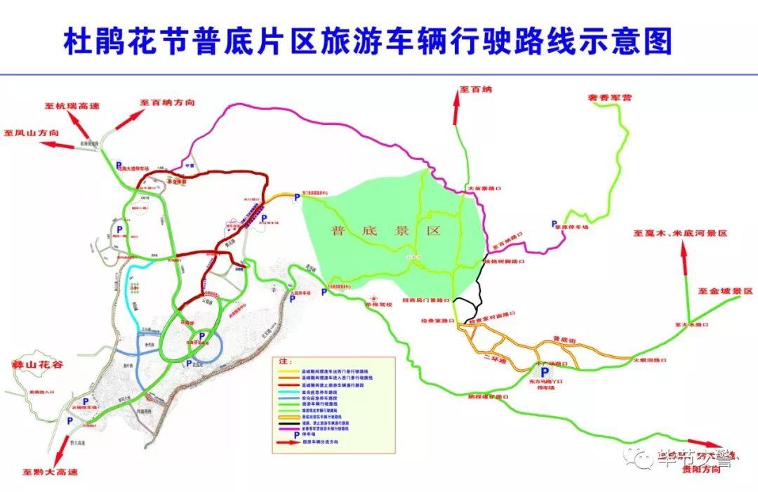 百里杜鹃最新领导简介