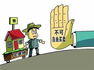 农村房屋买卖最新政策法规，解读与探讨