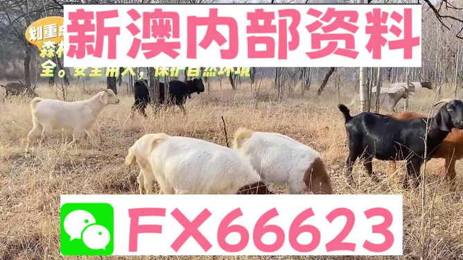 新澳2024今晚开奖资料四不像|精选资料解析大全