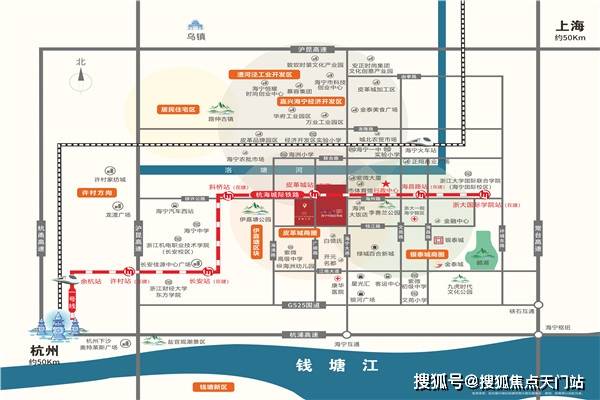 新奥资料免费精准网址|精选资料解析大全