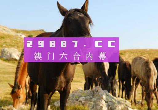 新澳门管家婆一肖一码一中特|精选资料解析大全