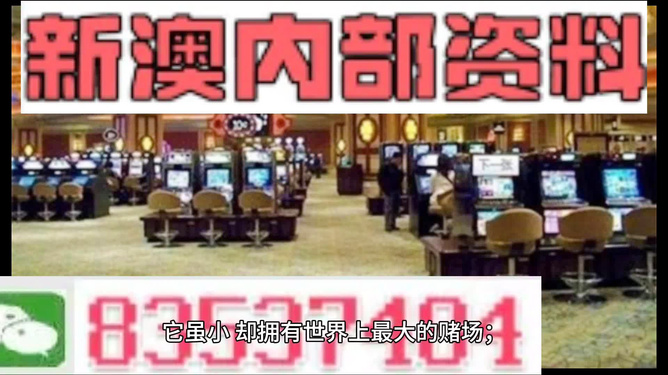 2024澳门精准正版资料|精选资料解析大全