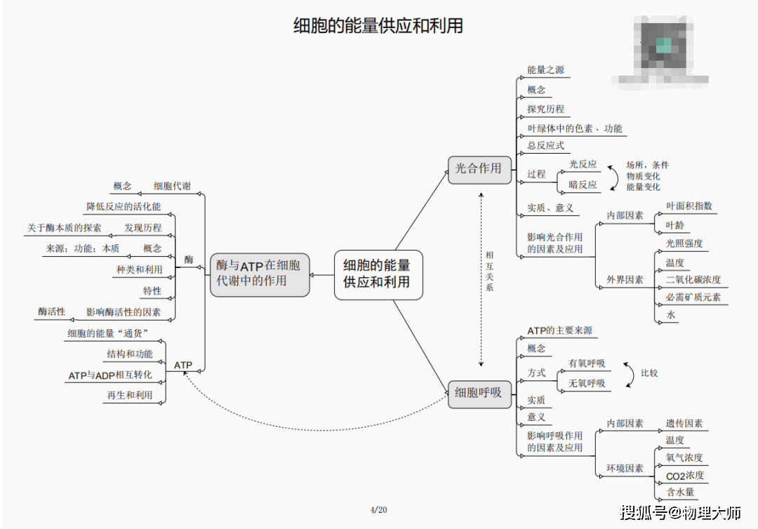 黄大仙三期内必开一肖|精选资料解析大全