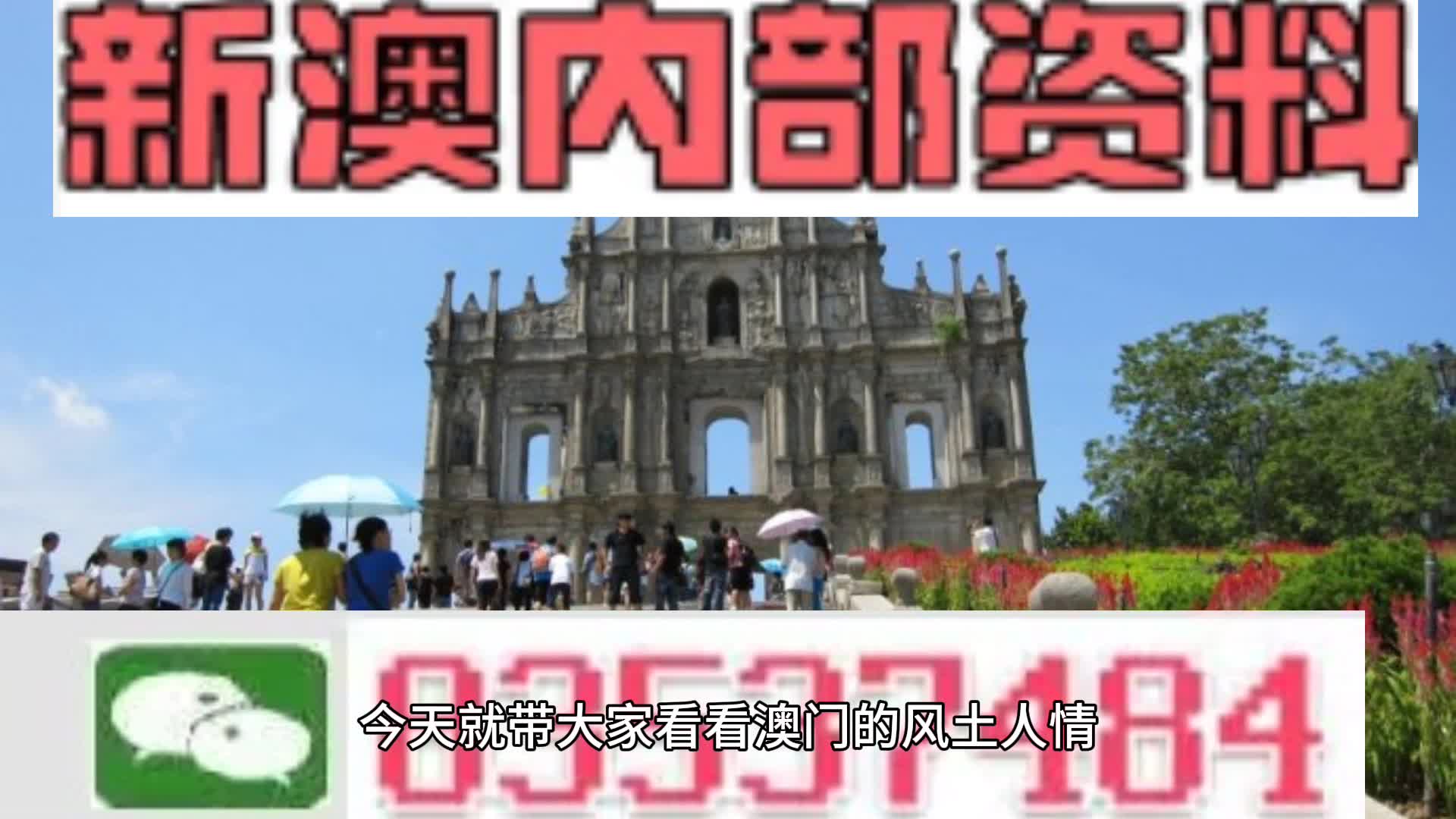 新澳2024一肖一码道玄真人|精选资料解析大全