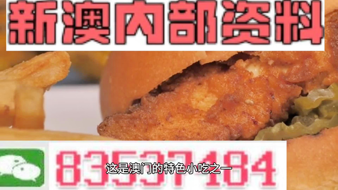 2024新澳资料免费精准17期|精选资料解析大全