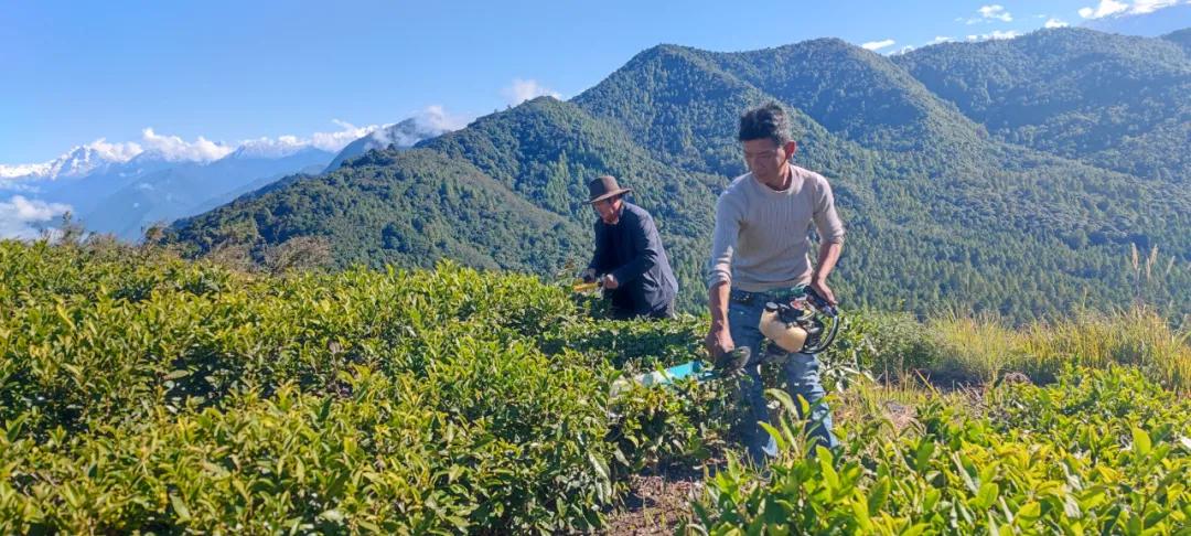 桂林阳光格林最新消息