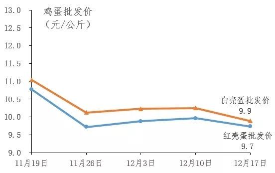 最新消息鸡旦走势