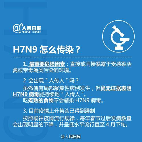 h7n92024年最新消息