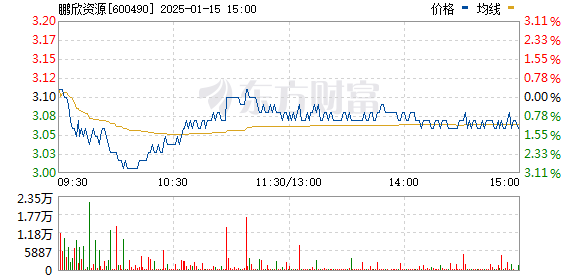 鹏欣资源重组最新情况