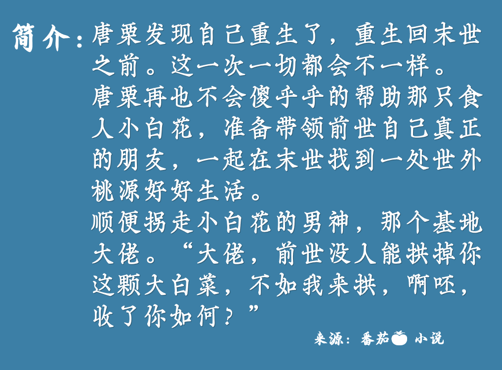 澳门 第11页